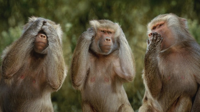 three monkeys - monkey see monkey do