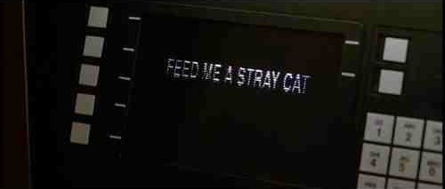 feed me a stray cat
