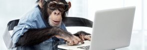 chimp at a typewriter